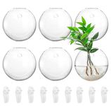 yarlung Set of 6 Wall Hanging Planters Terrarium, 4.7 Inch Glass Oblate Globe Plants Containers Wall Mount Clear Flower Vase for Propagating Hydroponics Plants, Air Plants (Plants Not Included)