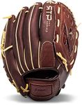 Franklin Sports Baseball Gloves - R