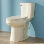 HOMLYLINK Elongated Tall Toilet 19 