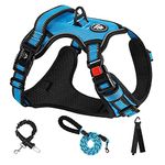 NESTROAD No Pull Dog Harness,Adjustable Oxford Dog Vest Harness with Leash,Reflective No-Choke Pet Harness with Easy Control Soft Handle for Small Medium Dogs(Medium,Blue)