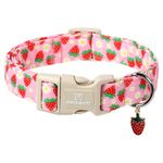 Maca Bates Pink Strawberry Basic Dog Collar for Large Girl Boy Dogs with Cute Strawberry Charm,Strawberries Pattern, Adjustable Durable Soft Blueberry Birthday Gift Collars for Male Female Puppy
