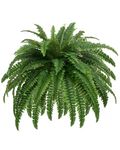 GYERB Large Fake Boston Ferns, 88 Branches Artificial Ferns, Faux Fern Plants for Home, Office, Garden Indoor Outdoor Decoration(48 inch,1pack)