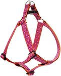 LupinePet Originals 1" Alpen Glow 24-38" Step In Harness for Large Dogs