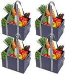 BAG-THAT! 4pk Reusable Grocery Bags