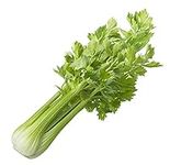Celery Seeds, 200+ Tall Utah 52-70,