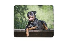 Awesome Rottweiler Dog Mouse Mat Pad - Guard Rottie Dad Fun Gift Computer #8629