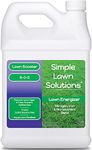 Commercial Grade Lawn Energizer - G