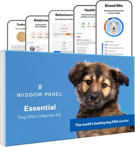 Wisdom Panel Dog DNA Test – Breed & Health Screening Kit
