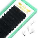 Easy Fan Lashes 0.03 0.05 0.07 0.10 Eyelash Extensions Volume Lash Extensions Easy Fan Russian Lashes Self Fanning Lashes Easy Fanning Lashes(8-15 mix, D-0.07)…