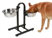 Elevated Dog Feeders