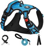 NESTROAD No Pull Dog Harness,Adjustable Oxford Dog Vest Harness with Leash,Reflective No-Choke Pet Harness with Easy Control Soft Handle for Small Medium Dogs(Medium,Blue)