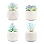 VIVERIE Mini Blue Artificial Succulent in Pots (White Ceramic, 4 Pot Set) Fake Plants for Indoors, Office Decor Blue, Room Decorations Aesthetics & Office Home Decor Gifts-Faux Plant