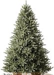 Balsam Hill 9ft Unlit Classic Blue 