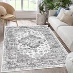 Area Rug Carpets