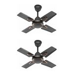 Candes Brio Turbo 600 mm /24 inch Small Ceiling Fans for Home | High Speed, Energy Saver, Noiseless | Small Ceiling Fan for Home, Kitchen Fan, Balcony & Small Room | 2 Yr Warranty | Smoke Brown