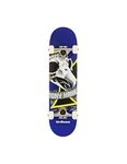 Birdhouse Stage 1 Oversized Skull Mini Complete Skateboard - 7.25", Blue