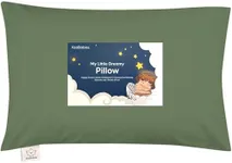 Toddler Pillow with Pillowcase - 13
