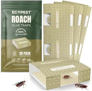 Roach Trap