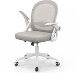 naspaluro Home Office Chair Ergonomic Desk Chair Swivel Computer Chair Mid-Back Mesh Chair with Flip-up Armrests and Lumbar Support for Home/Office - Gray