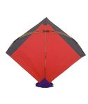 Kite For Adults