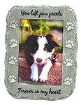 NewLifeLandia Pet Memorial Picture Frame Keepsake for Dog or Cat, Perfect Loss of Pet Gift for Remembrance and Healing (Grey)