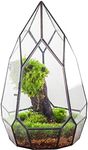 NCYP Modern Black Glass Geometric Terrarium Container with Door - Balcony Planter DIY Display Flower Pot for Succulent Fern - Tabletop Miniature Botanical Fairy Garden (No Plants)