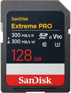 SanDisk 12