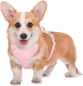 BARKBAY No