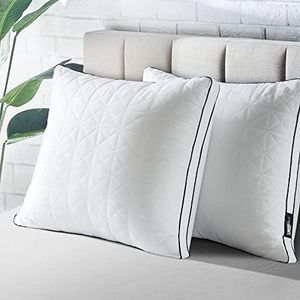 BedStory Oreiller 60x60 Lot de 2, Anti-Acariens à Faible Garnissage de Microfibre Hypoallergénique, Qualité Hôtel Moelleux et Respirant, Convient Allongées sur Le Côté et sur Le Dos