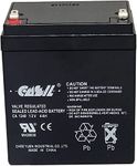 CASIL CA-1240 12V 4AH UPS Battery Replaces 4Ah Ritar RT1240H, RT 1240H