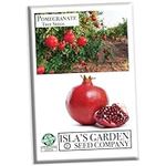 Pomegranate Tree Seeds for Planting