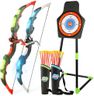 Bow and Arrow Set for Kids, 2-Pack LED Light Up Archery Set with 20 Suction Cup Arrows, Indoor and Outdoor Toy for Boys Girls Age 4-8 8-12 with Standing Target&2 Quivers, Birthday Gift 3-12 Years Old