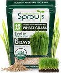 Nature Jims Sprouts Wheatgrass Seed