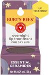 Burt's Bees Overnight Intensive Lip