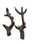 Driftwood for Aquarium Original Teak Wood Two Pieces Total Weight About 1.9 KG