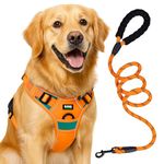 Buraq Reflective Dog Harness with Leash, No-Pull Adjustable Belt Vest for Small, Medium & Large Dogs, Escape-Proof, Padded Training & Walking Harness (L - Orange)
