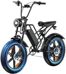 RPINT E500 Electric Bike for Adults