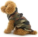 SMALLLEE_LUCKY_STORE Small Dog Cat 