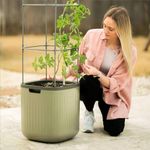 Vego garden Tomato Planter Box with