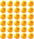 30PCS Mini Rubber Duck Bath Duck Toys for Toddlers Boys Girls,Squeak and Float Rubber Ducks in Bulk Baby Shower Duck Decorations Party Favors