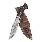 BIGCAT ROAR Handmade Damascus Hunting Knife - Fixed Blade Hunting Knife with Sheath and Walnut Wood Handle - 30.4 cm Outdoor Knife - Leopard Hunter