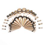 BodyJewelryOnline Adult Ear Stretching Kit Plugs & Tapers Set Rose Gold IP stainless steel 36pc Gauges 14g-00g