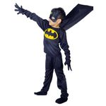 Batman Costumes