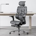 Hbada Ergonomic Office Chair with E