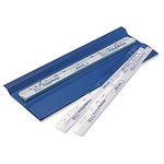 3L Filing Strips Polyester Self-adhesive 295mm for A4 Ref 8804-100 [Pack of 100], Clear