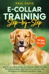 E-collar Training Step-by-Step: How