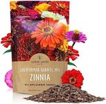 Bulk Zinnia Seeds - California Gian