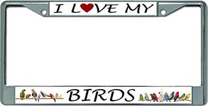 I Love My Birds Chrome License Plate Frame