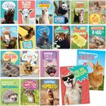 T MARIE 40 Funny Animal Postcards - Bulk Thinking of You Postcard Pack for Kids, Students, Friends, Teacher and More - Say Hello, Thank You or I Miss You with Cute Note Cards