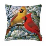 GSRONY Bird Throw Pillow Covers Funny Red Cardinal Bird Art Cushion Pillow Case Home Decor Pillowcase 18x18 Inches